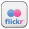 Flickr Icon